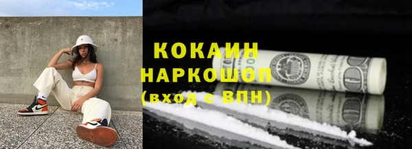 твердый Алзамай
