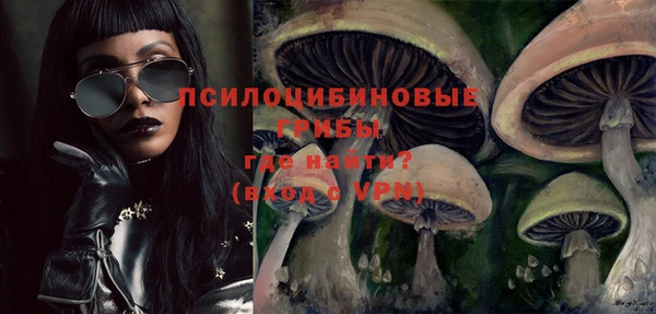 спайс Аркадак