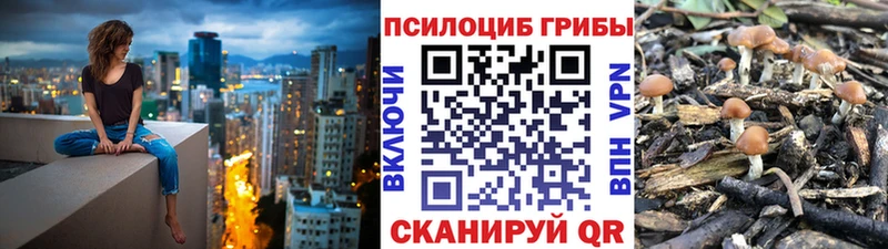 Псилоцибиновые грибы GOLDEN TEACHER Нижний Ломов